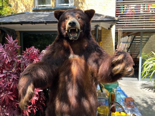 Photo post from saltfilm_locations.