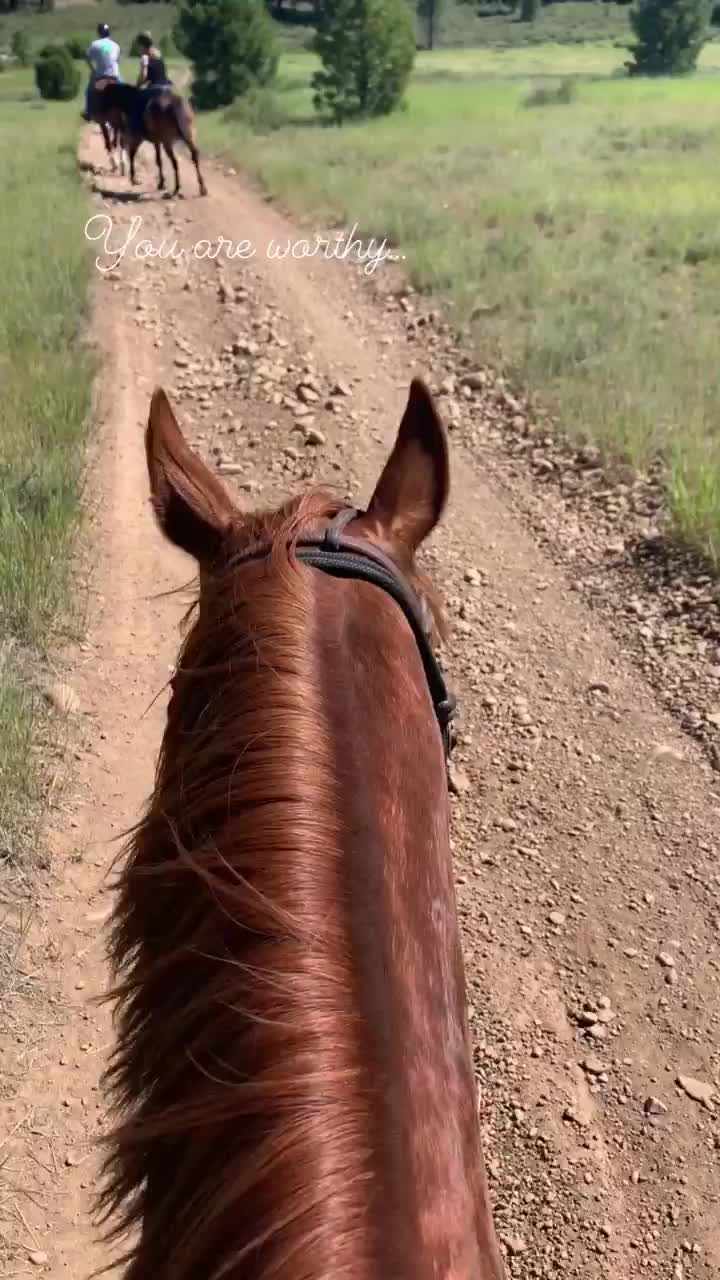 Video post from __amber_lydic__.