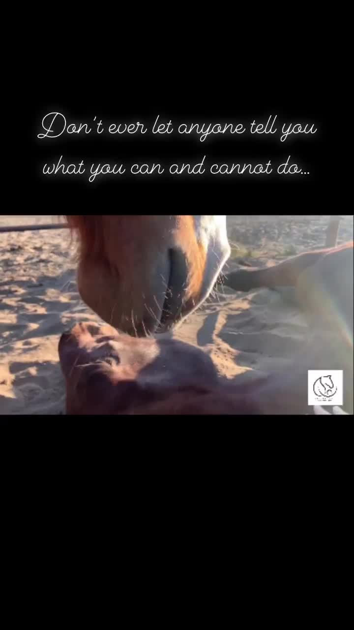 Video post from __amber_lydic__.