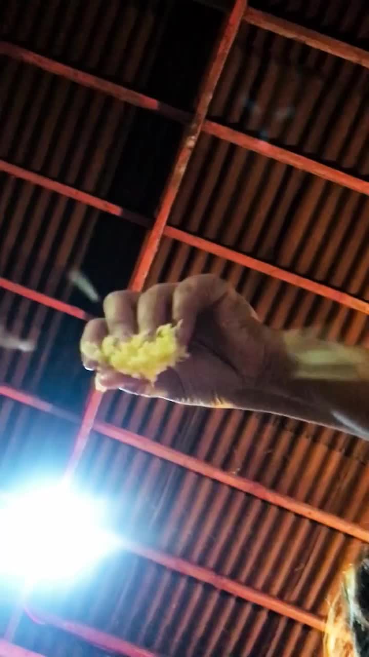 Video post from jakbobby.