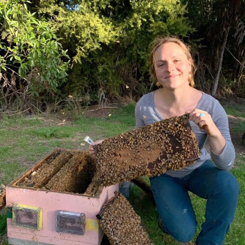 Carousel post from comvita_au.