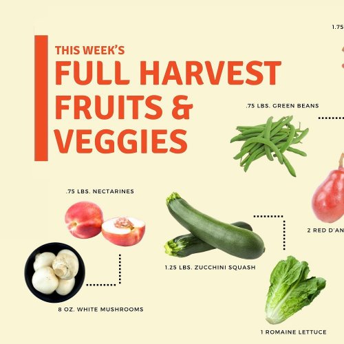 Carousel post from farmbox_arizona.