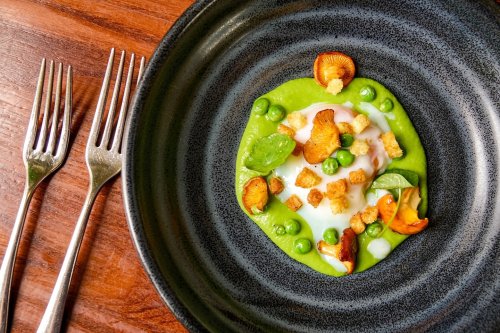 Photo post from themoathouse.