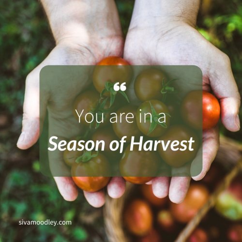 Photo post from drsivamm.