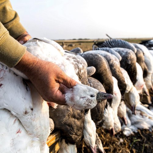 Photo post from northernskiesoutfitters.