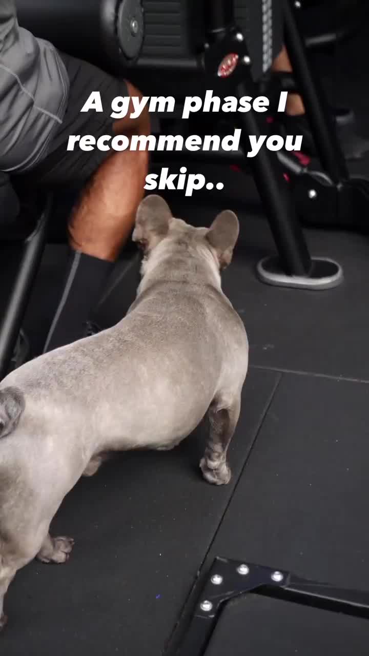 Video post from ph_gains.