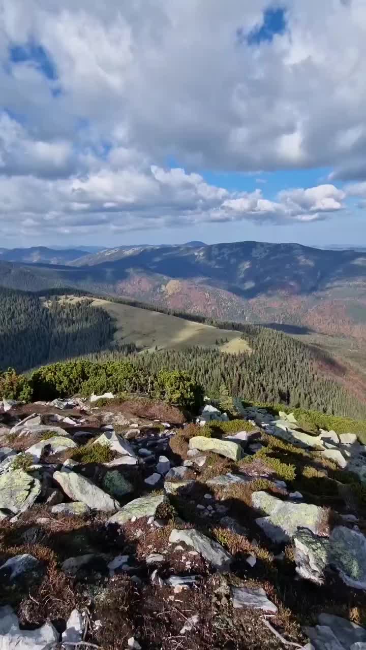 Video post from nemagnit.company.