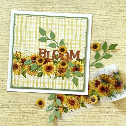 Photo post from Eyelet Outlet.