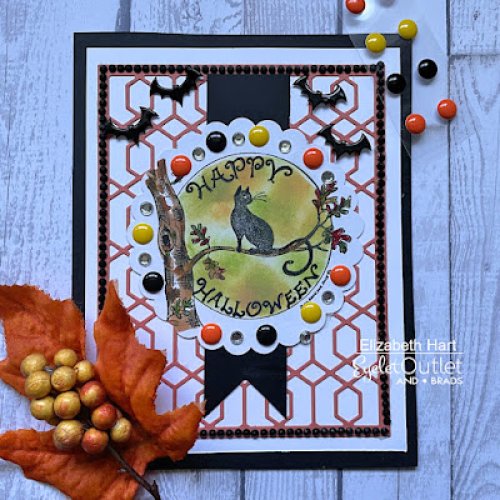 Photo post from Eyelet Outlet.