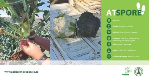 Photo post from Laeveld Agrochem.