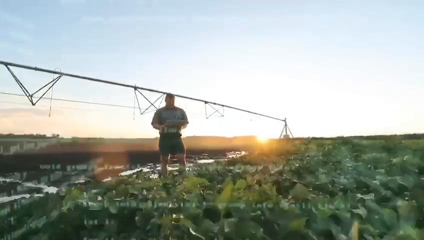 Video post from Laeveld Agrochem.