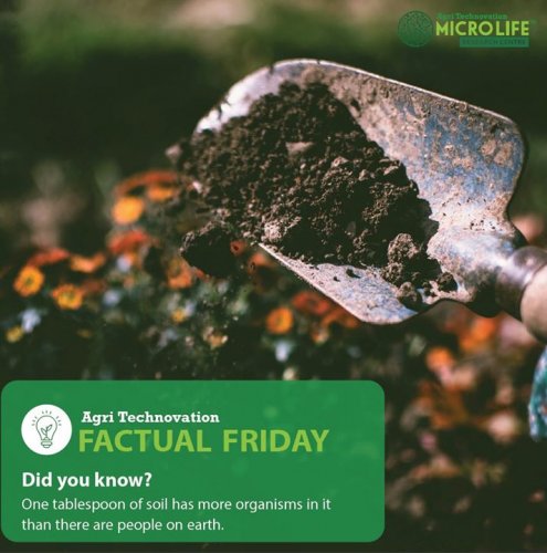 Photo post from Laeveld Agrochem.