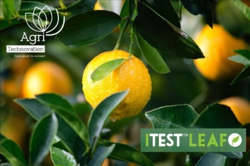 Photo post from Laeveld Agrochem.
