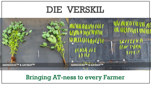 Photo post from Laeveld Agrochem.
