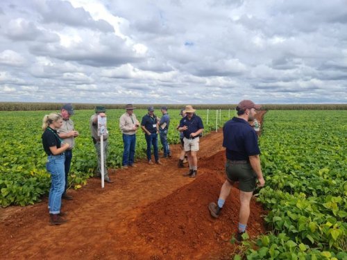 Carousel post from Laeveld Agrochem.