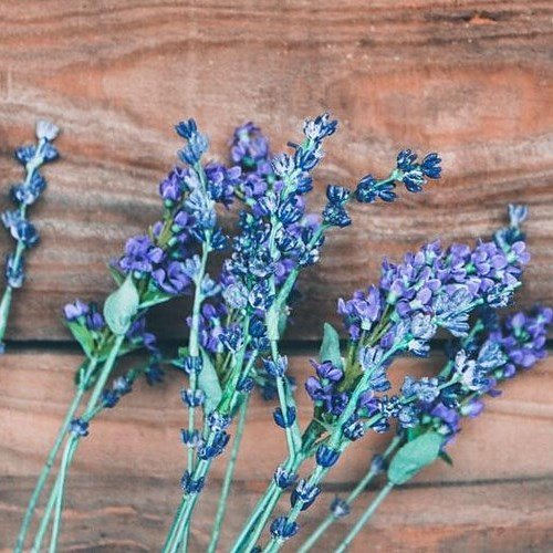 Photo post from The Dementia Society of Ottawa and Renfrew County.