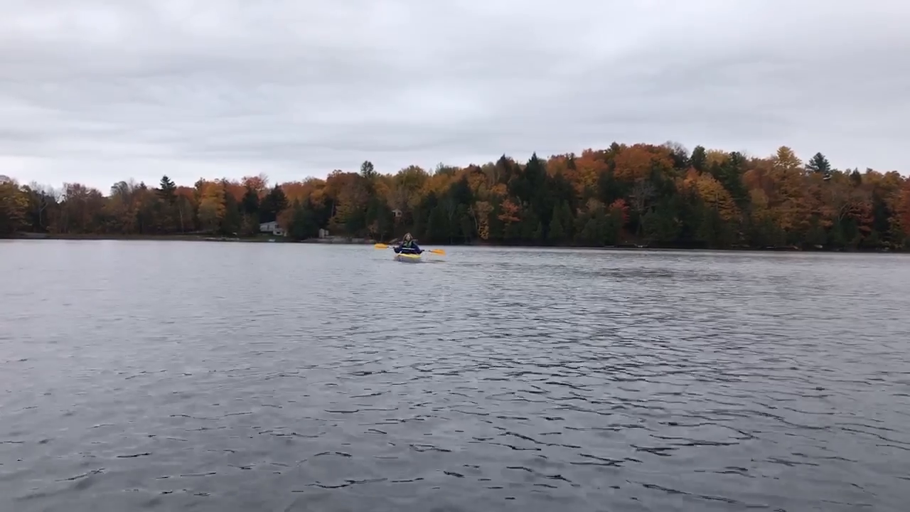 Video post from The Dementia Society of Ottawa and Renfrew County.