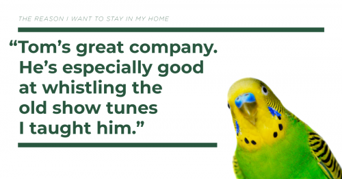 Photo post from The Dementia Society of Ottawa and Renfrew County.