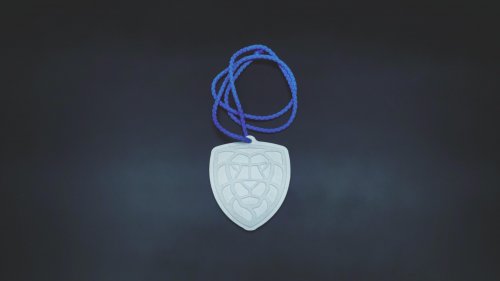 Photo post from Český florbal.