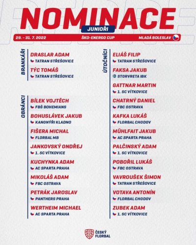 Photo post from Český florbal.