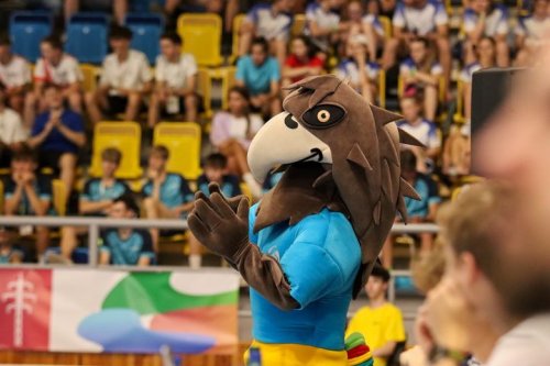 Carousel post from Český florbal.