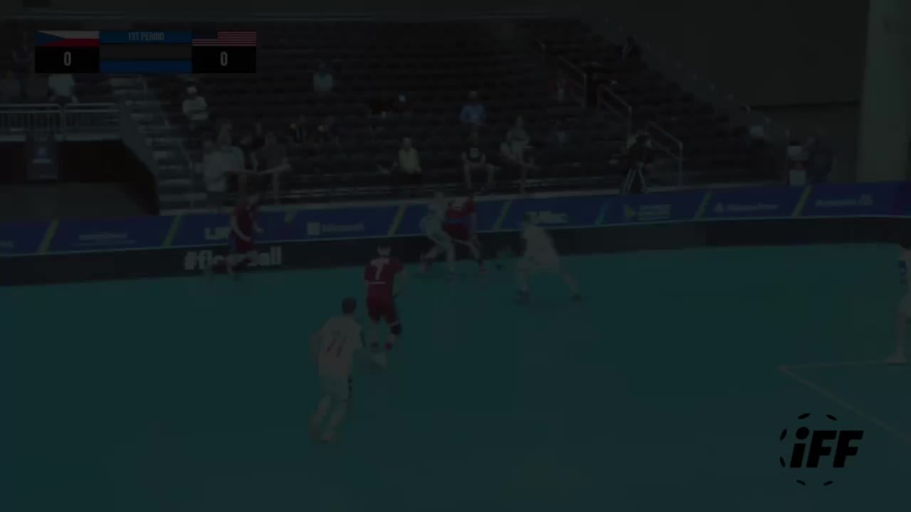 Video post from Český florbal.