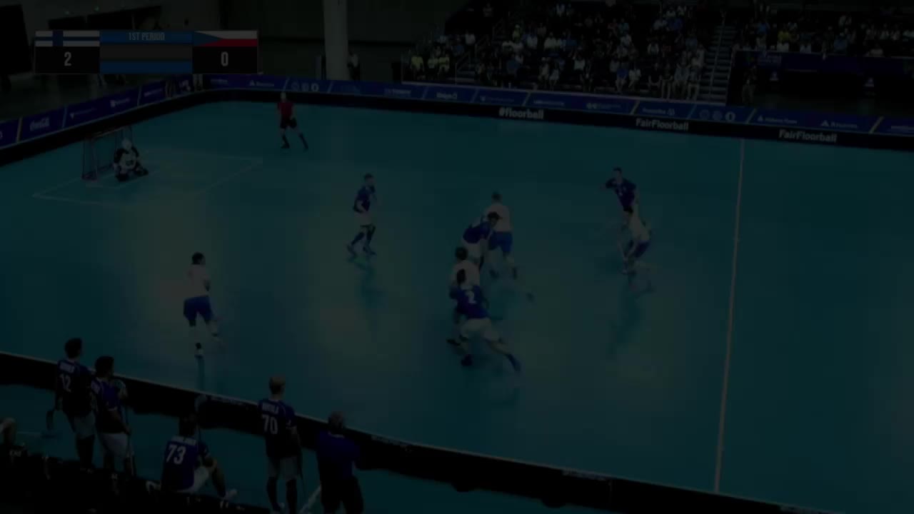 Video post from Český florbal.