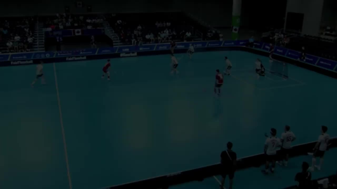 Video post from Český florbal.