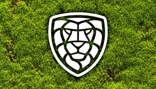 Photo post from Český florbal.