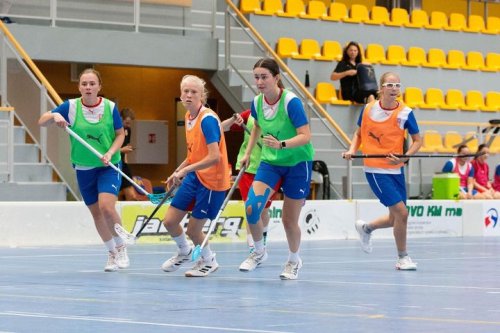 Carousel post from Český florbal.