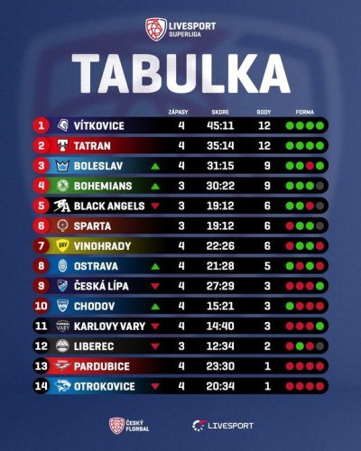 Photo post from Český florbal.