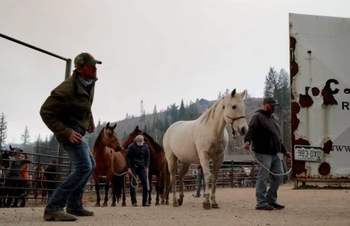 Photo post from Grand County Office of Emergency Management.