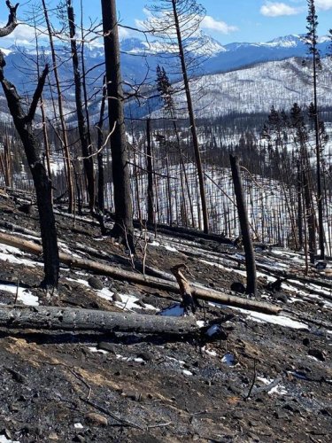 Photo post from Grand County Office of Emergency Management.