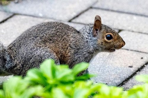 Photo post from Keith Clemens.