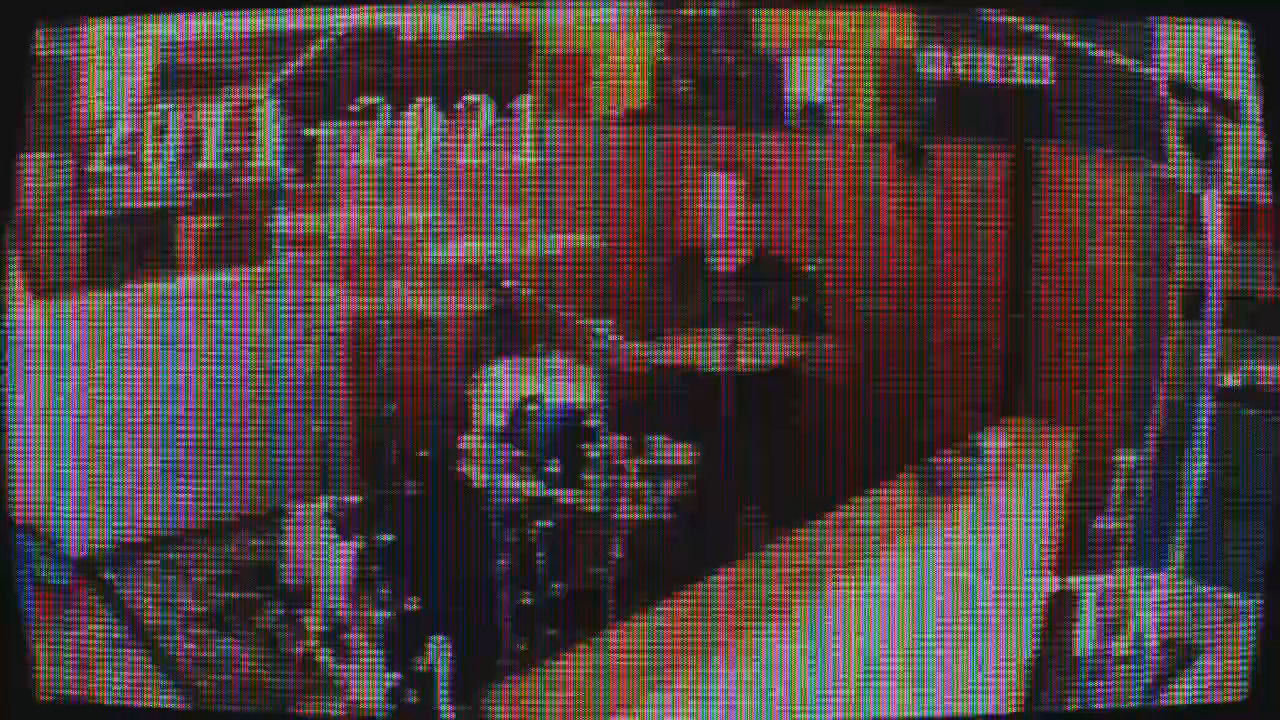Video post from Life in 24 Frames.