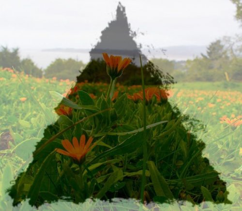 Photo post from Life in 24 Frames.