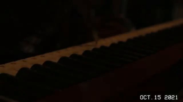 Video post from Life in 24 Frames.