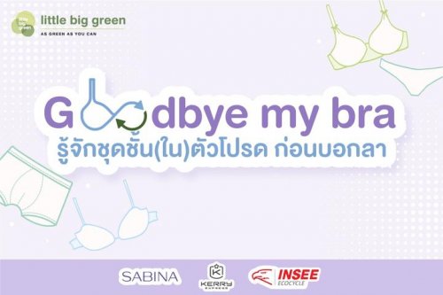 Carousel post from Little Big Green.