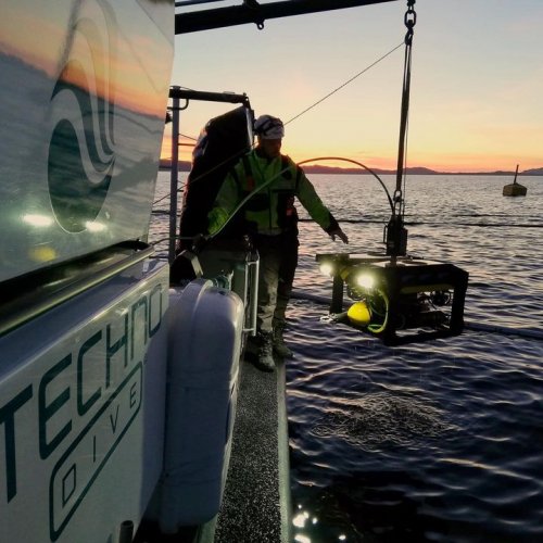 Photo post from Techno Dive.