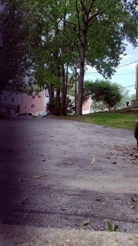 Video post from BareTree.Media.