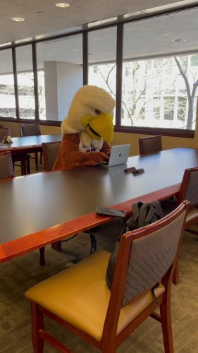 Video post from bostoncollege.