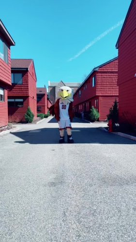 Video post from bostoncollege.