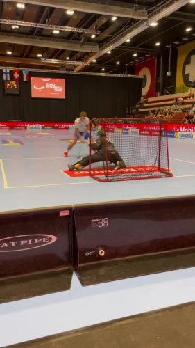 Video post from Českýflorbal.