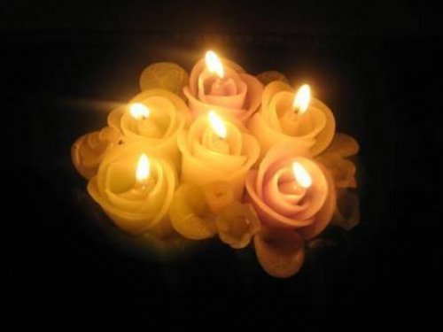 Photo post from Brook Court Care Home.