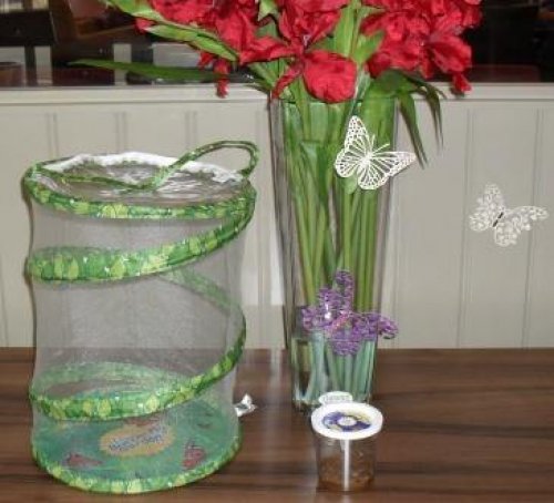 Carousel post from Brook Court Care Home.