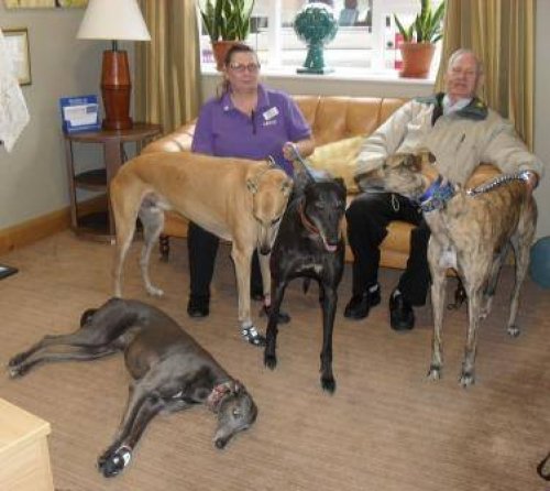 Carousel post from Brook Court Care Home.