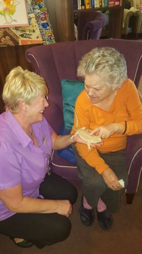 Carousel post from Brook Court Care Home.