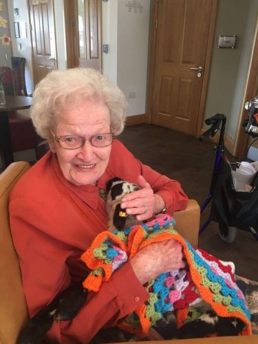 Carousel post from Brook Court Care Home.