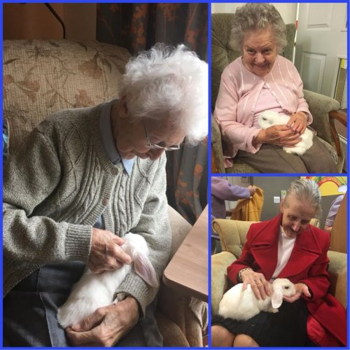 Photo post from Brook Court Care Home.