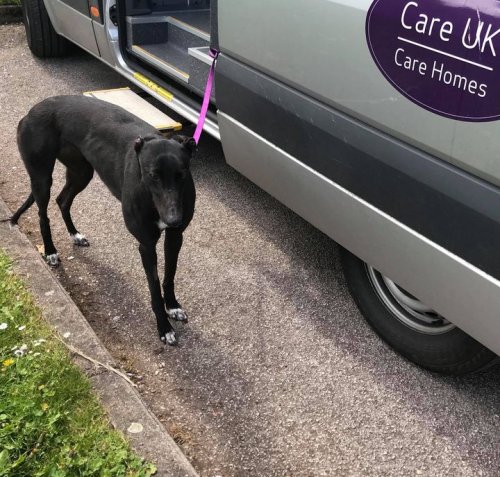 Carousel post from Brook Court Care Home.